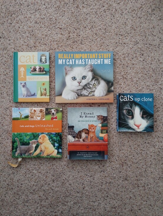 Barnes & Noble Other - Lot Of Cat Books 5 Total Cats Kittens Cute Pictures Facts